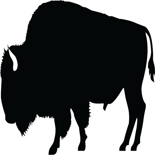 buffalo 500x500 png